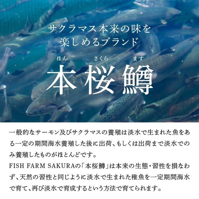 本桜鱒スモークサーモン(スパイス) N0116-YA3362