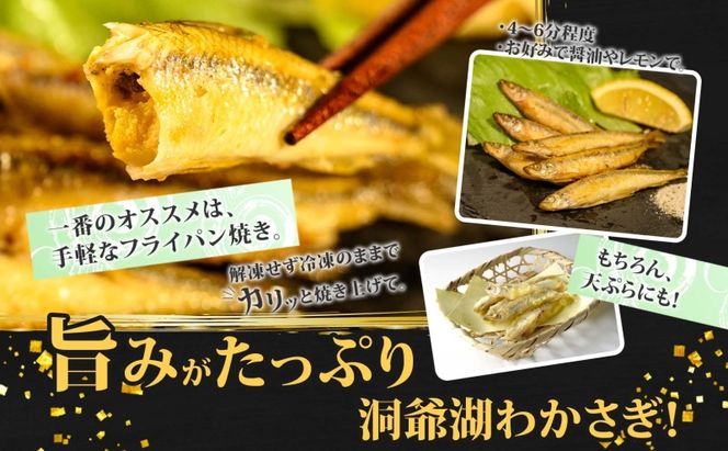 洞爺湖町産 黄金のわかさぎ 18尾×6P 計108尾 北海道産 ワカサギ わかさぎ 川魚 魚介類 産地直送 冷凍 お取り寄せ グルメ 料理 天ぷら フライ とうやマルシェ 北海道 洞爺湖町