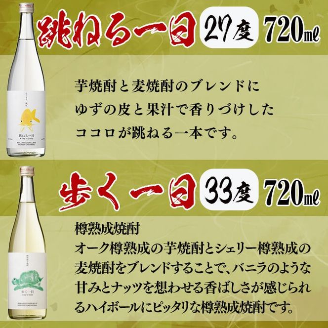 ＜入金確認後、2週間以内に発送！＞【数量限定】まるごと若潮酒造8本セット(白若潮・黒若潮・紅光・志布志プレミアムブルー 900ml、GLOW EP05・歩く一日・跳ねる一日・黄若潮 720ｍl) d2-009-2w