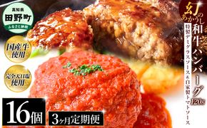 幻のあかうし和牛ハンバーグ 16個入り 3ヶ月定期便 1個120g 特製デミソース トマトソース付き 田野屋青蜂 白鯆 完全天日塩練り込み 肉 お肉 国産牛 おかず おいしい お取り寄せ 冷凍 配送 高知県 田野町