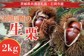 【先行予約】【2026年9月中旬より順次発送】石岡鶴沼の生栗 2kg（茨城県共通返礼品・石岡市産）｜茨城県 行方市 栗 生栗 秋 旬 無農薬(ER-2-1)