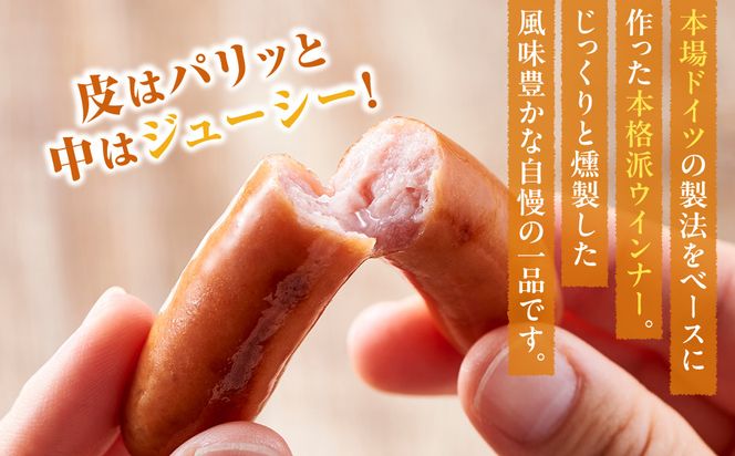 和豚もちぶた使用ウインナー【 惣菜 おかず 家庭用 自宅用 贈答品 贈答用 ギフト お取り寄せ お中元 お歳暮 贈り物 神奈川県 小田原市 】 142069_BX009