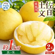 先行予約 文旦 家庭用 約1kg 土佐文旦 2L～3L 2玉 高知 ブンタン ぶんたん 旬 柑橘 かんきつ 柑橘類 フルーツ 果物 くだもの デザート おやつ 爽やか 甘い スイーツ 美味しい おいしい 常温