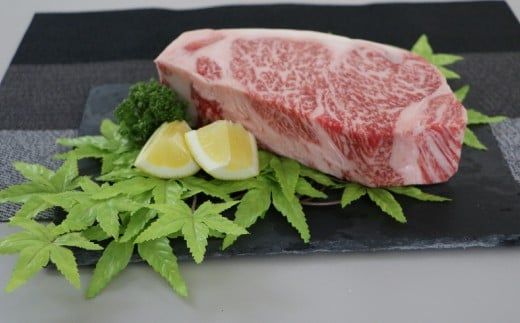 500g【佐賀牛】ロースブロック（タタキ・ローストビーフ・焼肉等） D-609