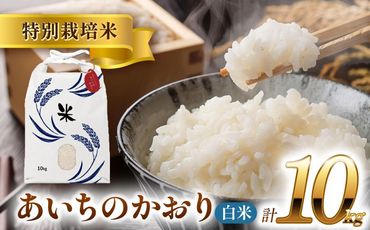 令和6年産 愛知県産あいちのかおり 白米10kg 特別栽培米 ご飯 精米／戸典オペレーター[AECT025]