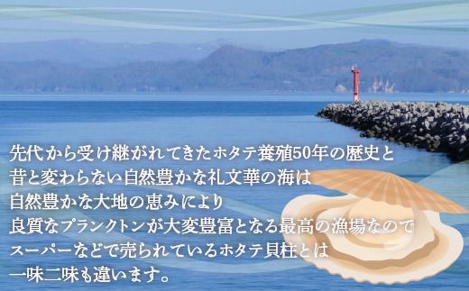 【禁輸に負けない】ホタテ 北海道 豊浦 噴火湾 礼文華 約1kg 帆立 貝柱 2年貝  TYUAD001