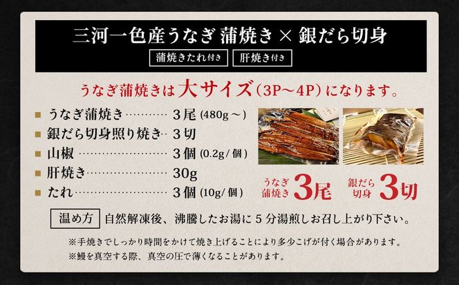 三河一色産 うなぎ蒲焼き 大3尾 + 銀たら 照り焼き 3切れ 蒲焼きたれ セット 簡単調理 冷凍
