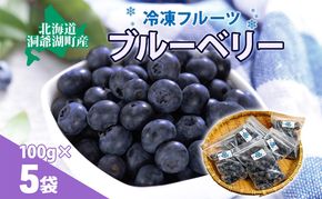 役に立ちます 冷凍カット果物 ブルーベリー100g×5袋 9月初旬よりお届け 冷凍 カット 果物 小分け 時短 弁当 簡単 調理 便利  国産 北海道 洞爺湖町
