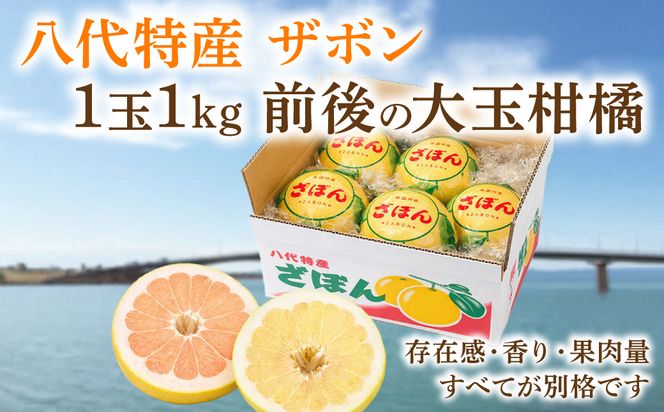 【先行予約】 【訳あり】 八代ザボン (赤肉または白肉) 約5kg (3～6玉)  果物 くだもの 果汁 柑橘 おやつ フルーツ デザート 熊本県 八代市 【2026年11月上旬より順次発送】