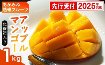 【化粧箱入】【先行受付・2025年発送】あかみね熱帯フルーツのアップルマンゴー約1kg