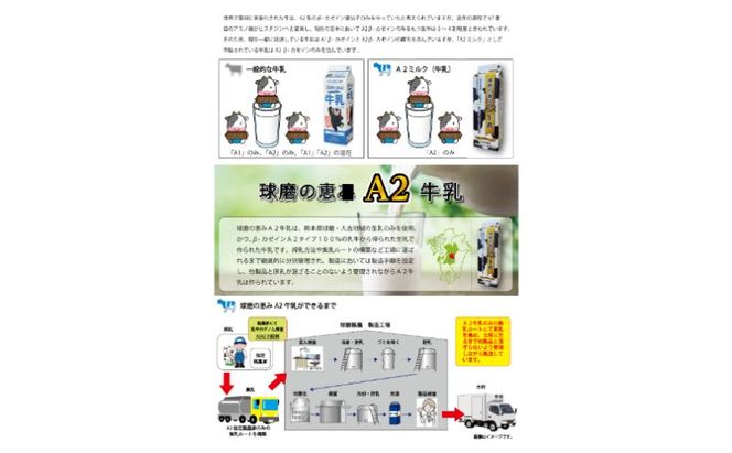 牛乳 ヨーグルト 球磨の恵み お腹にもやさしいA2ミルクとヨーグルト加糖 セット ミルク 牛乳2本 ヨーグルト2個【配送不可：沖縄県、離島】