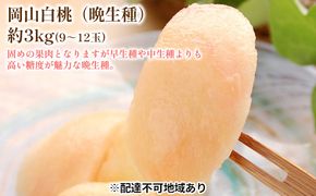 固めの 桃 2026年 先行予約 白桃 晩生種 3kg 9～12玉 もも モモ 岡山 国産 フルーツ 果物 ギフト 桃茂実苑