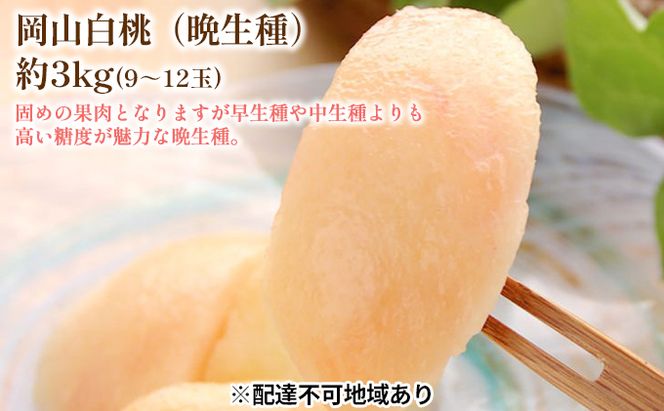 固めの 桃 2026年 先行予約 白桃 晩生種 3kg 9～12玉 もも モモ 岡山 国産 フルーツ 果物 ギフト 桃茂実苑