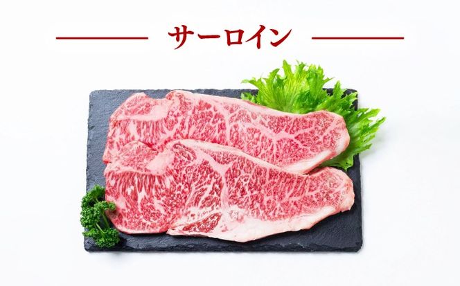 【3回定期便】長崎和牛 ステーキ 食べ比べセット サーロイン もも 400g / すてーき さーろいん モモ 牛肉 ぎゅうにく / 南島原市 / 贅沢宝庫[SDZ078]