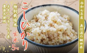【令和7年産】 特別栽培米 『奥信濃の棚田米 実の里』 こしひかり 玄米 5㎏ (7-21A) 