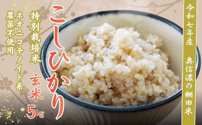【令和7年産】 特別栽培米 『奥信濃の棚田米 実の里』 こしひかり 玄米 5㎏ (7-21A) 