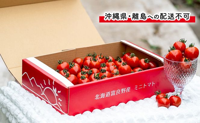 【2026年7月～発送】富良野産 採れたて直送! ミニトマト 「殊玉のうまみ」 【約2kg】 (清水farm) トマト ミニトマト とまと 美果 野菜 新鮮 甘い 季節限定 北海道 富良野 ふらの