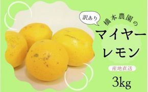 【先行予約】橋本農園の 訳あり マイヤーレモン 3kg【2024年12月初旬から2025年1月初旬までに順次発送】 / レモン マイヤーレモン 檸檬 先行予約 家庭用 ご家庭用【mht008A】