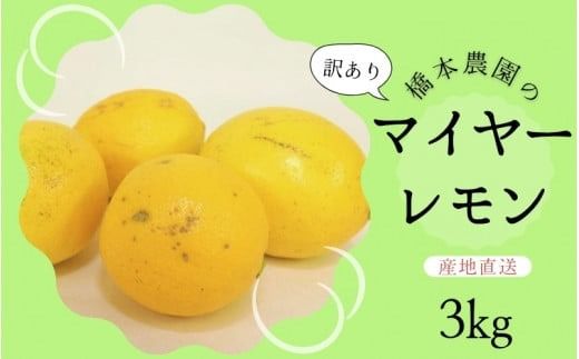 【先行予約】橋本農園の 訳あり マイヤーレモン 3kg【2024年12月初旬から2025年1月初旬までに順次発送】 / レモン マイヤーレモン 檸檬 先行予約 家庭用 ご家庭用【mht008A】