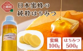 日本蜜蜂の純粋はちみつ 日本蜜蜂の純粋はちみつ 500g×1 蜜蝋100g付