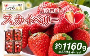【先行予約】出会いの森いちご園 スカイベリー （290g×4パック） | いちご イチゴ 苺 栃木県 果物 くだもの フルーツ スカイベリー 新鮮 贈答 ギフト デザート スイーツ ※離島への配送不可 ※2026年12月上旬頃から2027年3月下旬頃に順次発送予定
