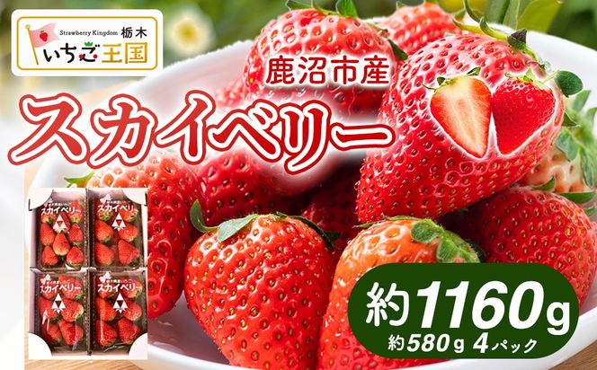 【先行予約】出会いの森いちご園 スカイベリー （290g×4パック） | いちご イチゴ 苺 栃木県 果物 くだもの フルーツ スカイベリー 新鮮 贈答 ギフト デザート スイーツ ※離島への配送不可 ※2026年12月上旬頃から2027年3月下旬頃に順次発送予定