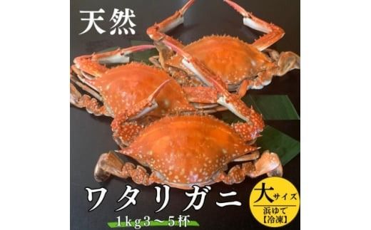 浜ゆでワタリガニ(大サイズ)1kg3～5杯 冷凍便＼特製三杯酢付き/