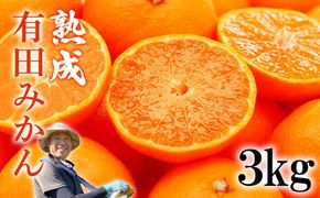 熟成　有田みかん 3kg（約30個）  EN001