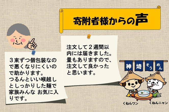 佐賀県特産品 神埼そうめん 10入 【素麺 そうめん 乾麺 お中元 贈答用 無添加 夏 自家用 麺類 簡単 手軽 保存食 佐賀県産 国産】(H014144)