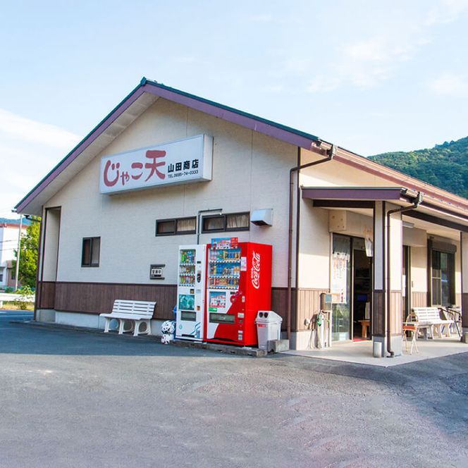 山田のじゃこ天 85枚