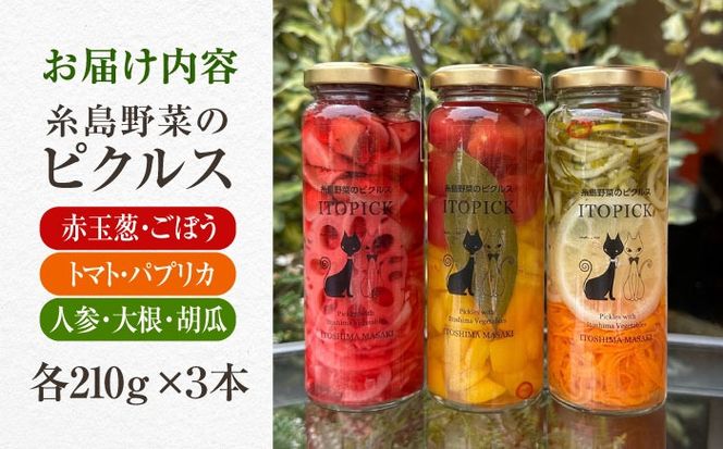 【ITOPICK】糸島野菜のピクルス3本セット 糸島市 / 糸島正キ[AQA098]
