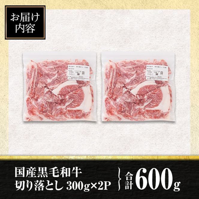 isa694 黒毛和牛切り落とし (合計600g・300g×2P) 国産 真空包装 真空パック ファスナー 小分け 切落とし 牛 うし 牛肉 アウトドア BBQ 冷凍 【サンキョーミート株式会社】