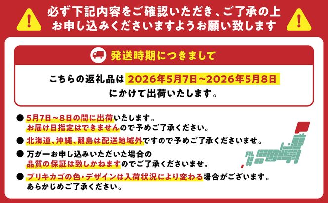 【先行予約】【2026年5月7日～8日発送】ポットカーネーション 赤 5号鉢 カゴ付き カーネーション 花 母の日 プレゼント ギフト 贈り物 熊本県 八代市