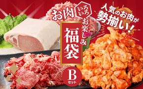 福袋 木城町 お肉いろいろお楽しみセットB K16_0070_3