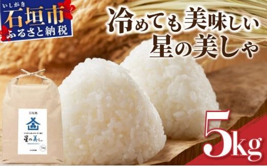 yꌧΊ_szΊ_Y ̔() 5kg ݂€ĉy {ꑁVĂ̎Yn Ί_   Yn { ق邵 ꌧ Ί_s zMK-3