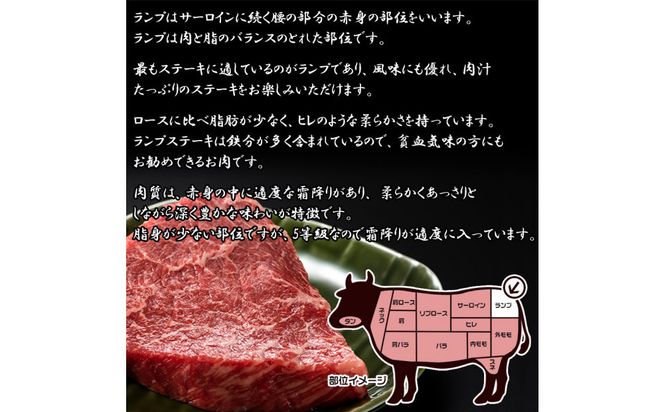 肉のいとう 最高級A5ランク仙台牛ランプステーキ 9枚【特産品 宮城県産  仙台牛 国産牛 サーロイン  ステーキ 霜降り  厳選 ごちそう 記念日 ギフト お歳暮 お中元 定番 安心安全 品質保証 リピート ランキング】 041009_AP023