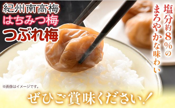 ご家庭用 とろける果肉 紀州南高梅 はちみつ梅 つぶれ梅 大容量 選べる 450g 900g 1.2kg 2kg 有限会社プラム《30日以内に出荷予定(土日祝除く)》和歌山県 日高川町 梅 うめ ウメ 南高梅 梅干し 梅干 つぶれ梅 蜂蜜 送料無料 ランキング お米 のお供---wshg_plm4_30d_26_6000_450g---