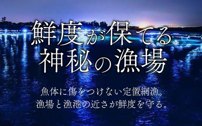 生ホタルイカ急速冷凍とオリジナル万能酢味噌付き【カネツル砂子商店】 [A-002012] 