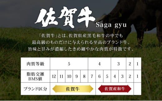 【佐賀牛】リブロースステーキ 600g（200g×3） 国産 黒毛和牛 リブロース ステーキ ブランド牛 とろける 溢れる肉汁 脂の甘み ごちそう パーティ グルメ お取り寄せ