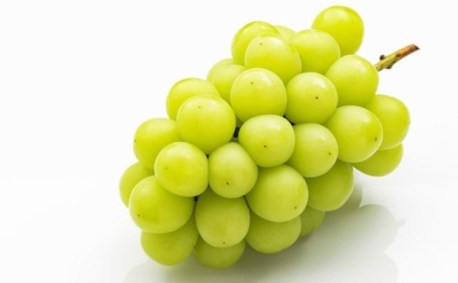 桃 ぶどう 【2026年 早期受付】 フルーツ詰め合わせ シャインマスカット 晴王 1房・ 白桃 2個 もも ブドウ 葡萄 岡山県産 国産 フルーツ 果物 ギフト