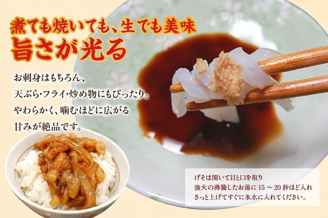 【白イカ 約1.5kg（5-8杯程度入） 冷凍】獲れたまま バラ凍結 3D凍結 鮮度抜群 イカ いか 白イカ 白いか 大人気 おすすめ 兵庫県 香美町 山米鮮魚 74-06