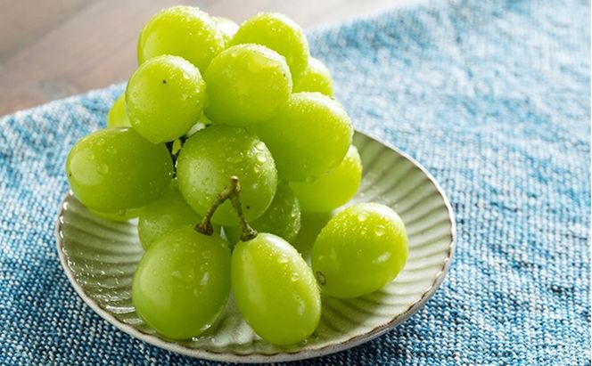 ぶどう 2026年 先行予約 特選 岡山の旬の果物詰合せ-4 シャインマスカット 晴王 ブドウ  葡萄  岡山県産 国産 フルーツ 果物 ギフト ピオーネ 各1房500g 種なし ジューシーな果汁 