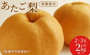 梨 早期受付 岡山 の あたご 梨 2～3玉（2kg以上） 合計2kg以上 なし ナシ  岡山県産 国産 フルーツ 果物 ギフト桃茂実苑 あたご梨 糖度12.5度以上 2キロ