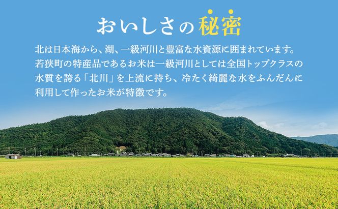 R7年産 米 コシヒカリ 10kg 産地直送 一等米 特A 特A米 お米 白米 精米 新米 ご飯 10キロ おこめ こめ コメ ごはん こしひかり 福井県 福井 若狭町 若狭 送料無料