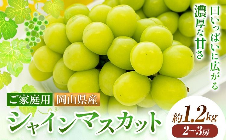 [2026年発送先行予約]ご家庭用 岡山県産 シャインマスカット 1.2kg 2房 3房 晴れの国おかやま館 [2026年9月上旬-10月上旬頃出荷]岡山県 矢掛町 葡萄 マスカット 果物 スイーツ フルーツ デザート[配送不可地域あり](離島)---ofn_choksm_ad9_25_16000_12---