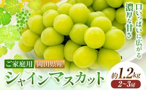 【2026年発送先行予約】ご家庭用 岡山県産 シャインマスカット 1.2kg 2房 3房 晴れの国おかやま館 《2026年9月上旬-10月上旬頃出荷》岡山県 矢掛町 葡萄 マスカット 果物 スイーツ フルーツ デザート【配送不可地域あり】（離島）---ofn_choksm_ad9_25_16000_12---