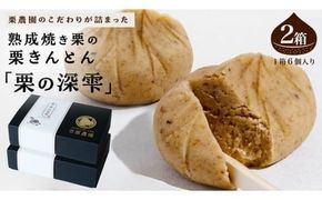 栗きんとん 「 栗の深雫 」 2箱 ～くりのしずく～ 12個 完熟 栗 くり クリ 和菓子 おかし お菓子 贈り物 ギフト 果物 フルーツ 秋 冬 [CX022ci]