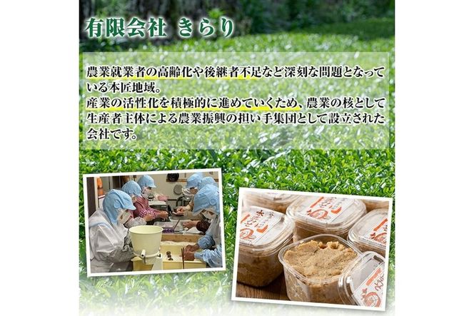 因尾茶 ティーバッグ (計66個・22個入×3袋) お茶 緑茶 茶 ティーバッグ 釜炒り 因尾茶 特産品 お取り寄せ 大分県 佐伯市【AH67】【(有)きらり】