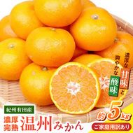 G7347_【2026年11月下旬頃より発送】紀州 有田産 濃厚甘熟 温州みかん 5kg【家庭用 訳あり】