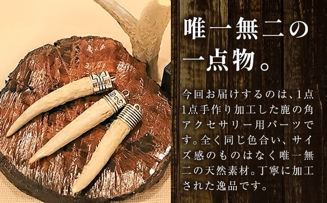 天然・鹿の角アクセサリー用パーツ 【配送不可地域あり】(離島